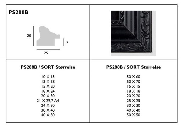 PS288B - Image 3
